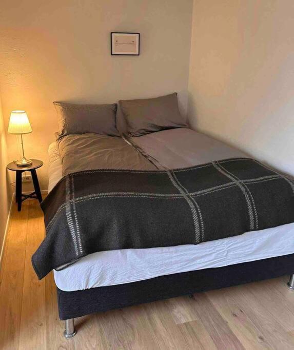 Studio Apartment Reykjavik City Center Exterior photo