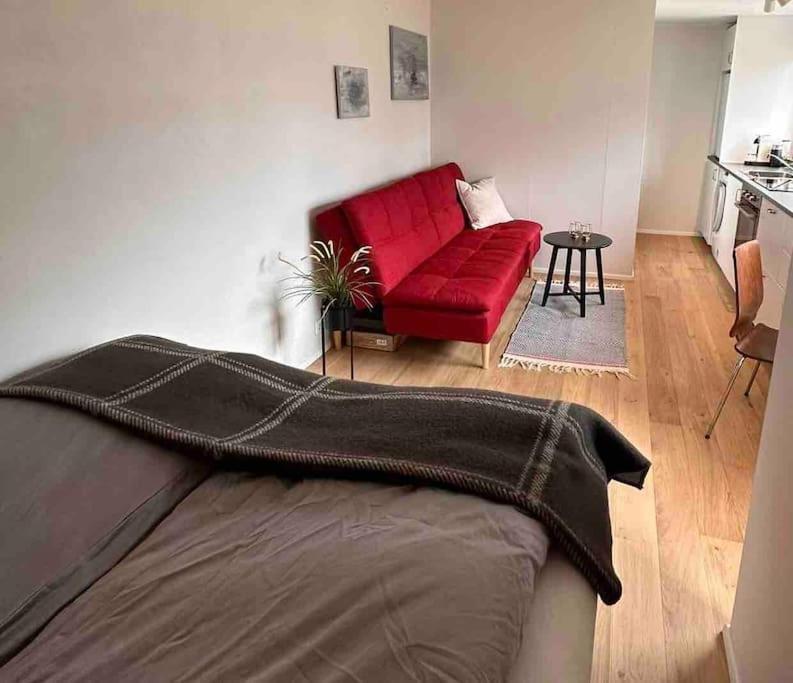Studio Apartment Reykjavik City Center Exterior photo